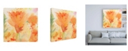 Trademark Global Sheila Golde Windblown Poppies #2 Canvas Art - 19.5" x 26"